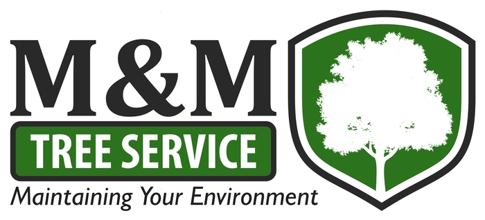 M & M Tree Service