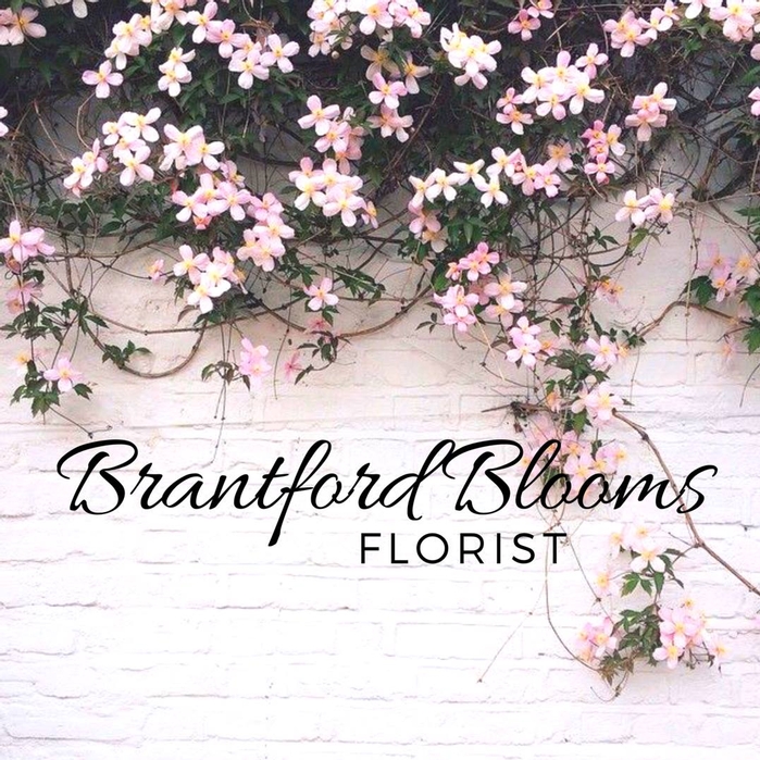 Brantford Blooms