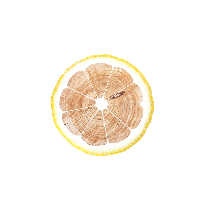 Lush Lemon Co.